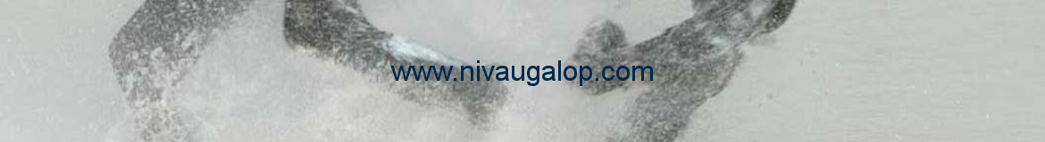 www.nivaugalop.com